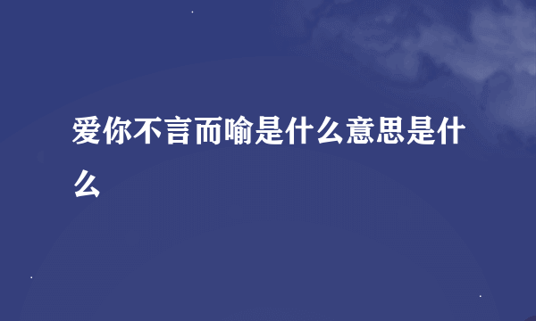 爱你不言而喻是什么意思是什么