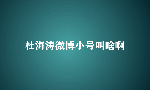 杜海涛微博小号叫啥啊