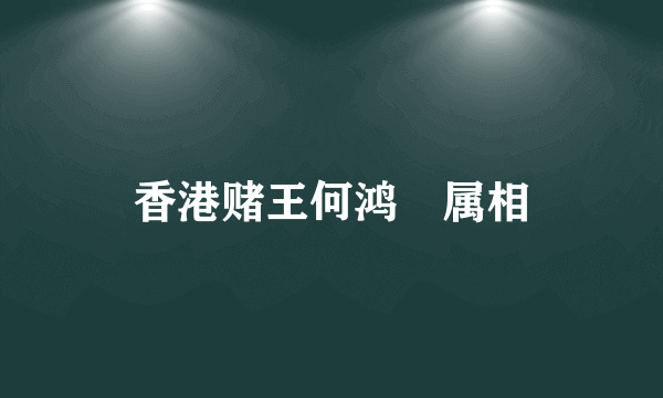 香港赌王何鸿燊属相