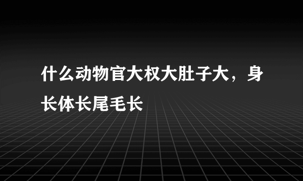 什么动物官大权大肚子大，身长体长尾毛长