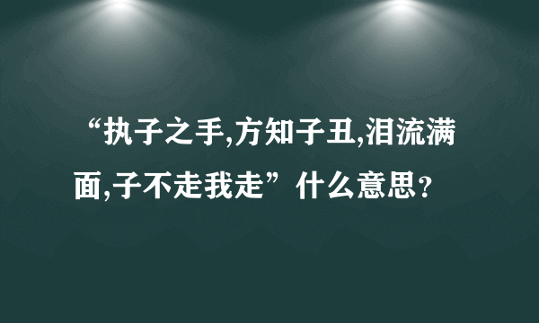 “执子之手,方知子丑,泪流满面,子不走我走”什么意思？