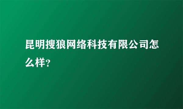 昆明搜狼网络科技有限公司怎么样？