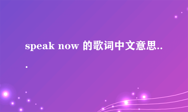 speak now 的歌词中文意思...