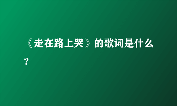 《走在路上哭》的歌词是什么？