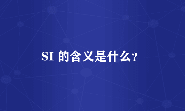 SI 的含义是什么？