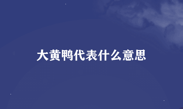 大黄鸭代表什么意思