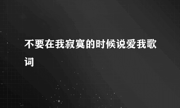 不要在我寂寞的时候说爱我歌词