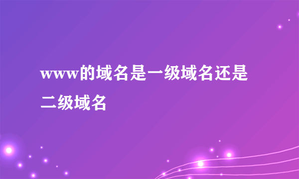 www的域名是一级域名还是二级域名