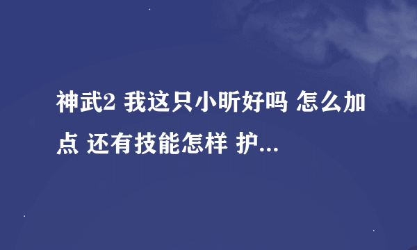 神武2 我这只小昕好吗 怎么加点 还有技能怎样 护符加什么