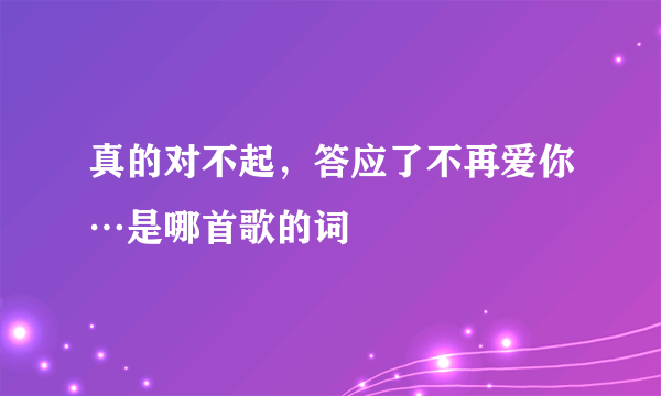 真的对不起，答应了不再爱你…是哪首歌的词