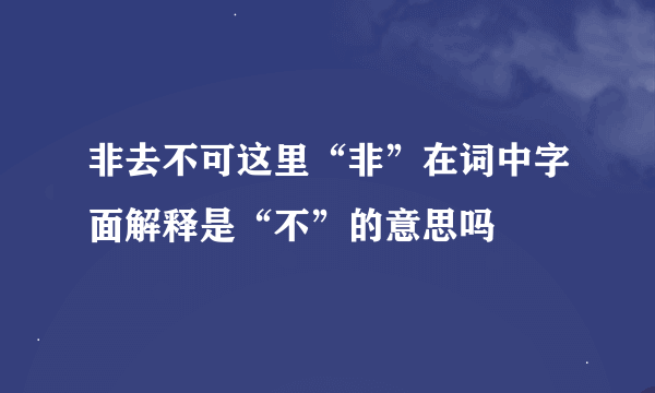 非去不可这里“非”在词中字面解释是“不”的意思吗