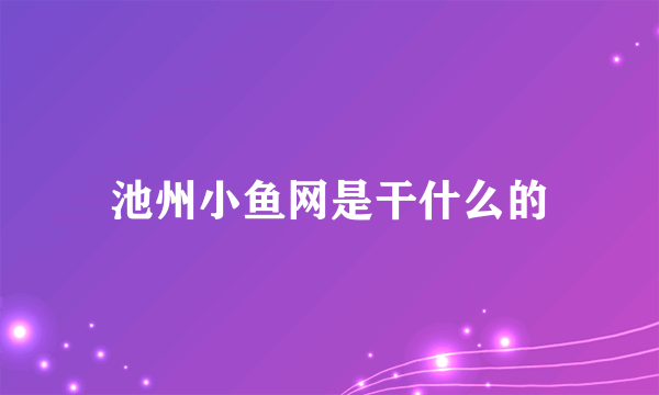 池州小鱼网是干什么的