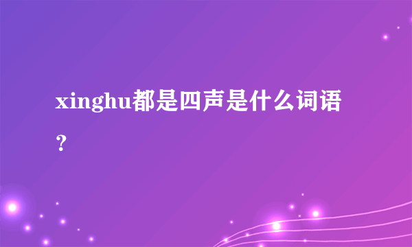 xinghu都是四声是什么词语？