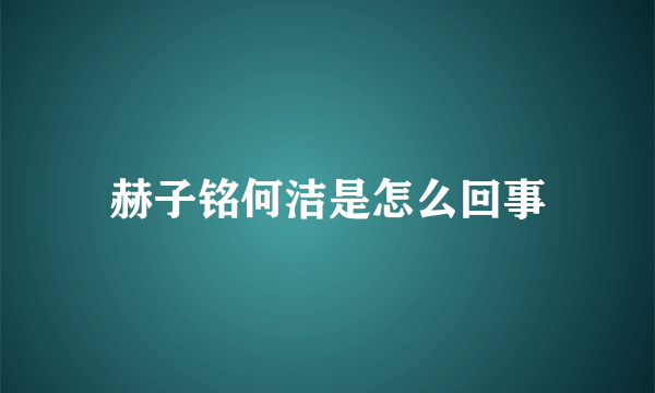 赫子铭何洁是怎么回事