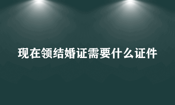 现在领结婚证需要什么证件