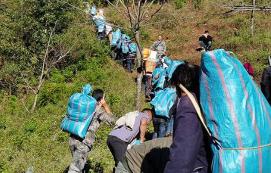 哀牢山25岁遇难地质员为家中独子，是否该对死者加封荣誉称号？