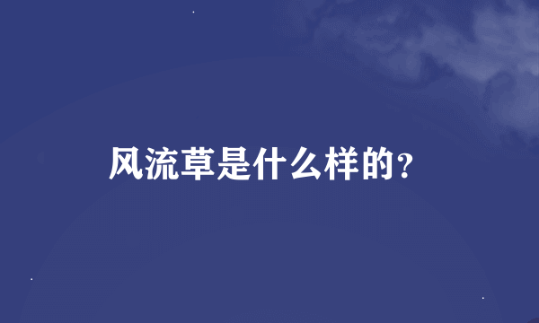 风流草是什么样的？