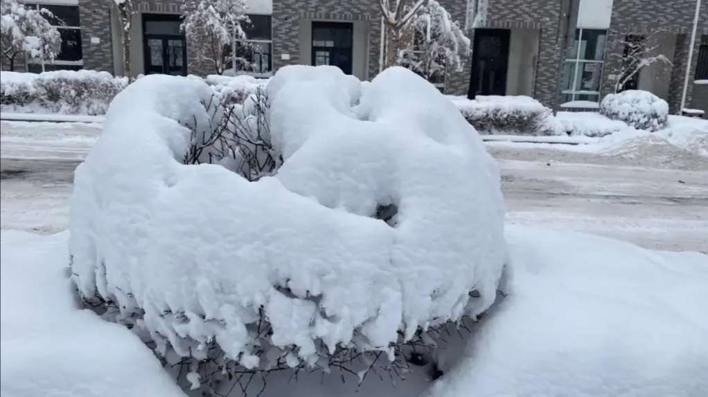 东北的本轮降雪有极端性，本轮降雪造成了多大的经济损失？