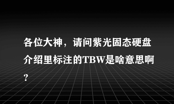 各位大神，请问紫光固态硬盘介绍里标注的TBW是啥意思啊？