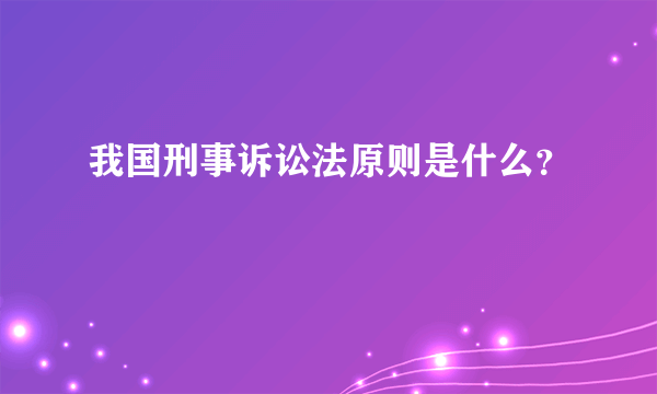 我国刑事诉讼法原则是什么？