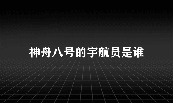 神舟八号的宇航员是谁