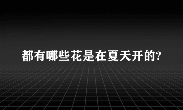 都有哪些花是在夏天开的?