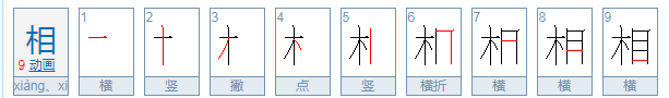 相是啥意思