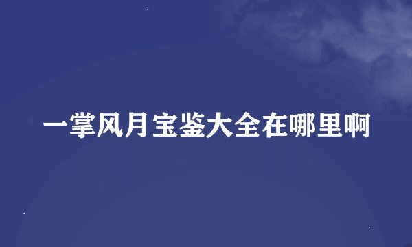 一掌风月宝鉴大全在哪里啊