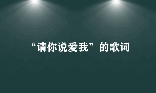 “请你说爱我”的歌词