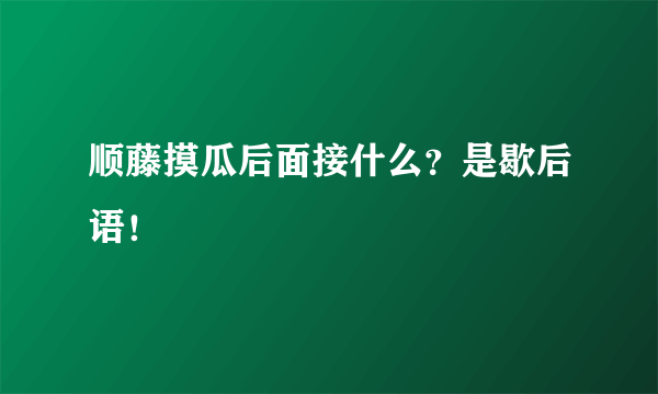 顺藤摸瓜后面接什么？是歇后语！