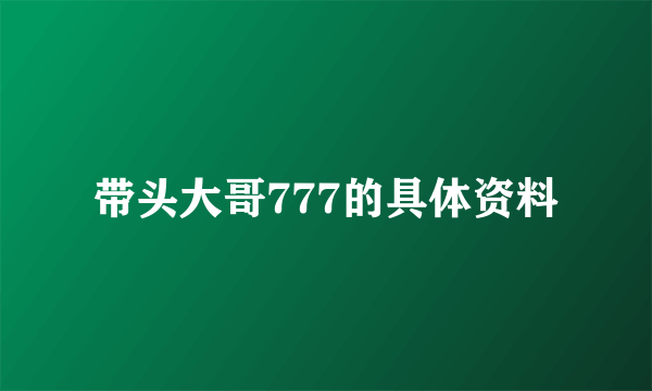 带头大哥777的具体资料