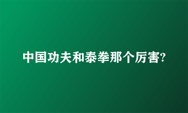 中国功夫和泰拳那个厉害?