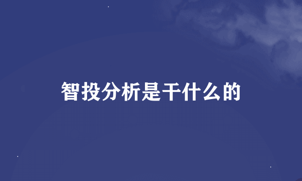 智投分析是干什么的