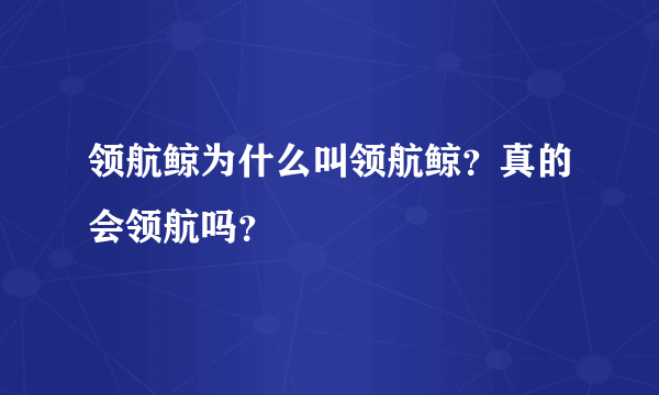 领航鲸为什么叫领航鲸？真的会领航吗？