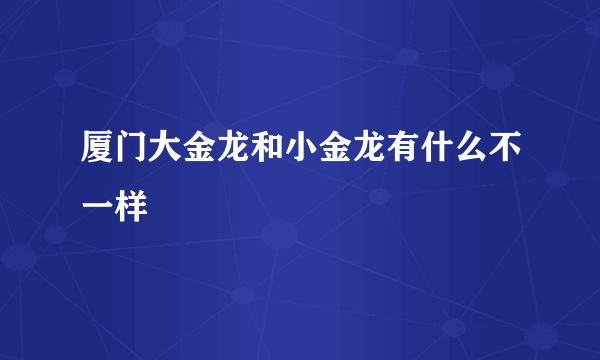 厦门大金龙和小金龙有什么不一样