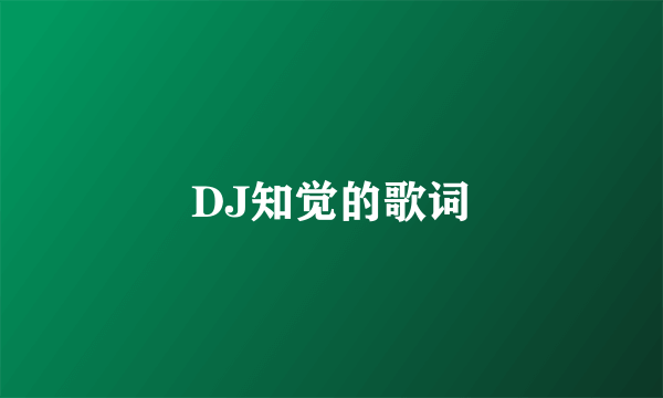 DJ知觉的歌词