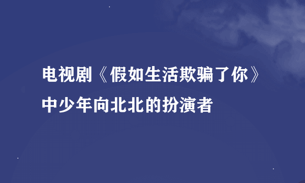 电视剧《假如生活欺骗了你》中少年向北北的扮演者