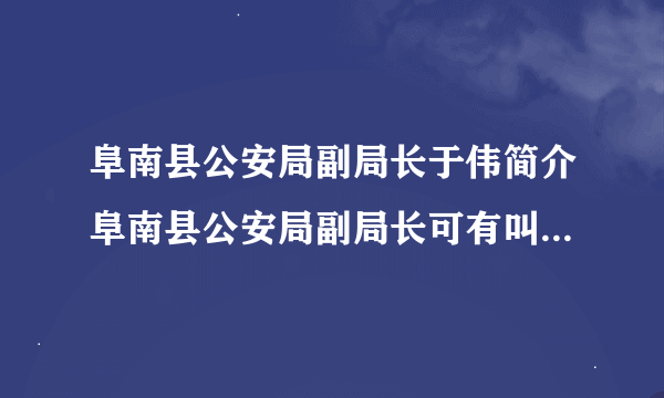 阜南县公安局副局长于伟简介阜南县公安局副局长可有叫于伟的？