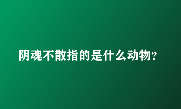 阴魂不散指的是什么动物？