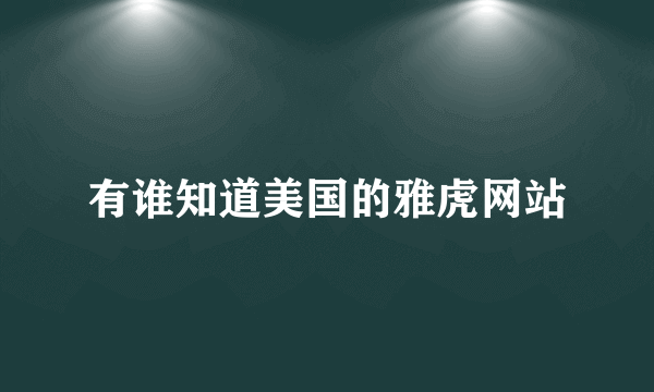 有谁知道美国的雅虎网站