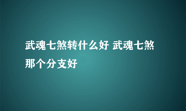 武魂七煞转什么好 武魂七煞那个分支好