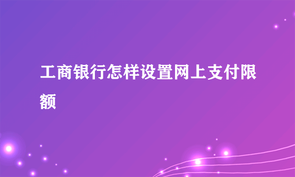 工商银行怎样设置网上支付限额