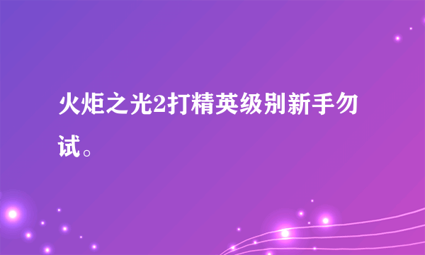 火炬之光2打精英级别新手勿试。