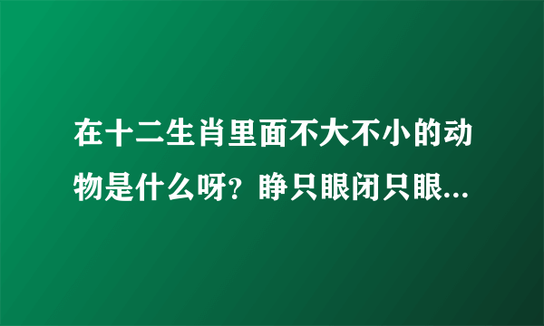 在十二生肖里面不大不小的动物是什么呀？睁只眼闭只眼的生肖是什么急急急