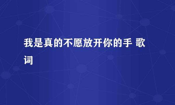 我是真的不愿放开你的手 歌词