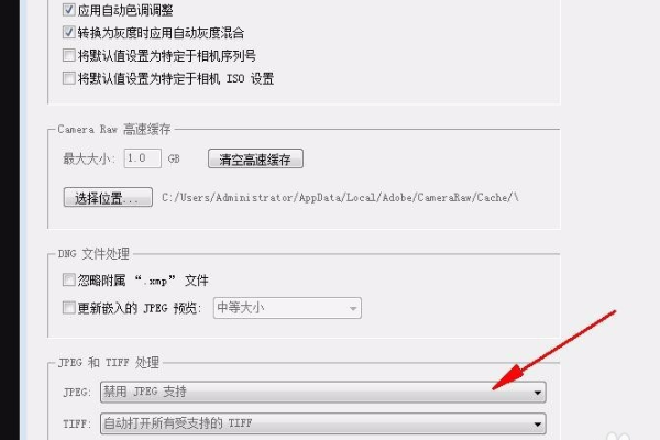 PS中的 Camera Raw 是什么？