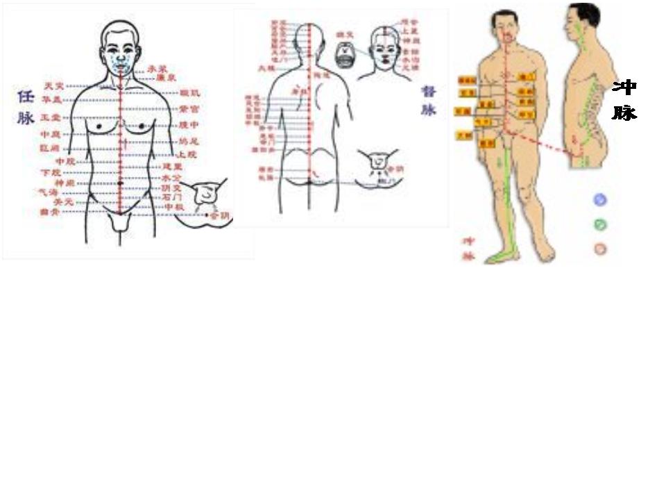 任脉 督脉 冲脉在人体的什么地方,希望说的通俗点,要不我看不懂的,谢谢