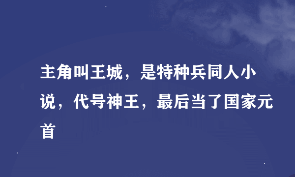 主角叫王城，是特种兵同人小说，代号神王，最后当了国家元首