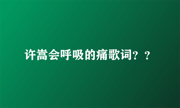 许嵩会呼吸的痛歌词？？