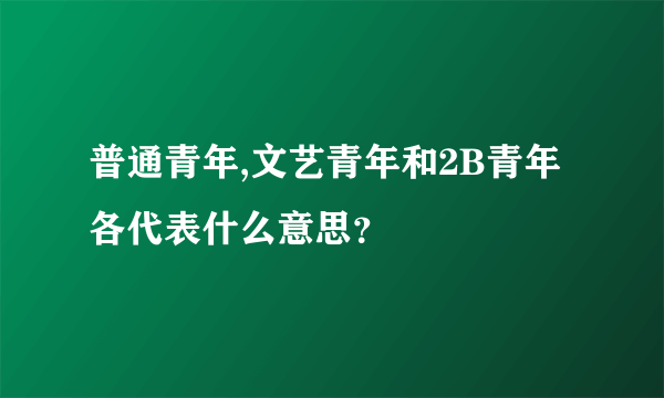 普通青年,文艺青年和2B青年各代表什么意思？